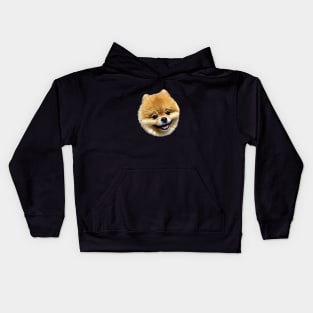 Pomeranian adorable face Kids Hoodie